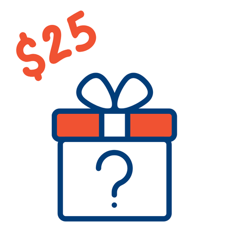 $25 mystery box