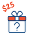 $25 mystery box