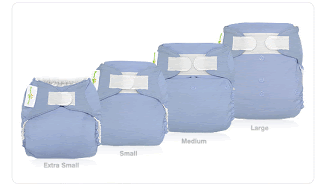 WELL LOVED - BumGenius 3.0 SIZED Deluxe All-in-One